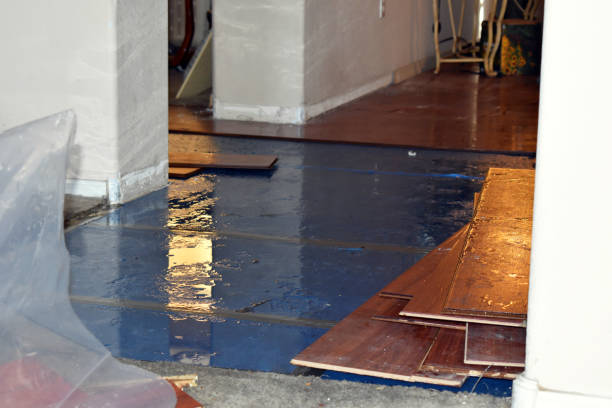 Professional Water Extraction technician working in Alvada, OH